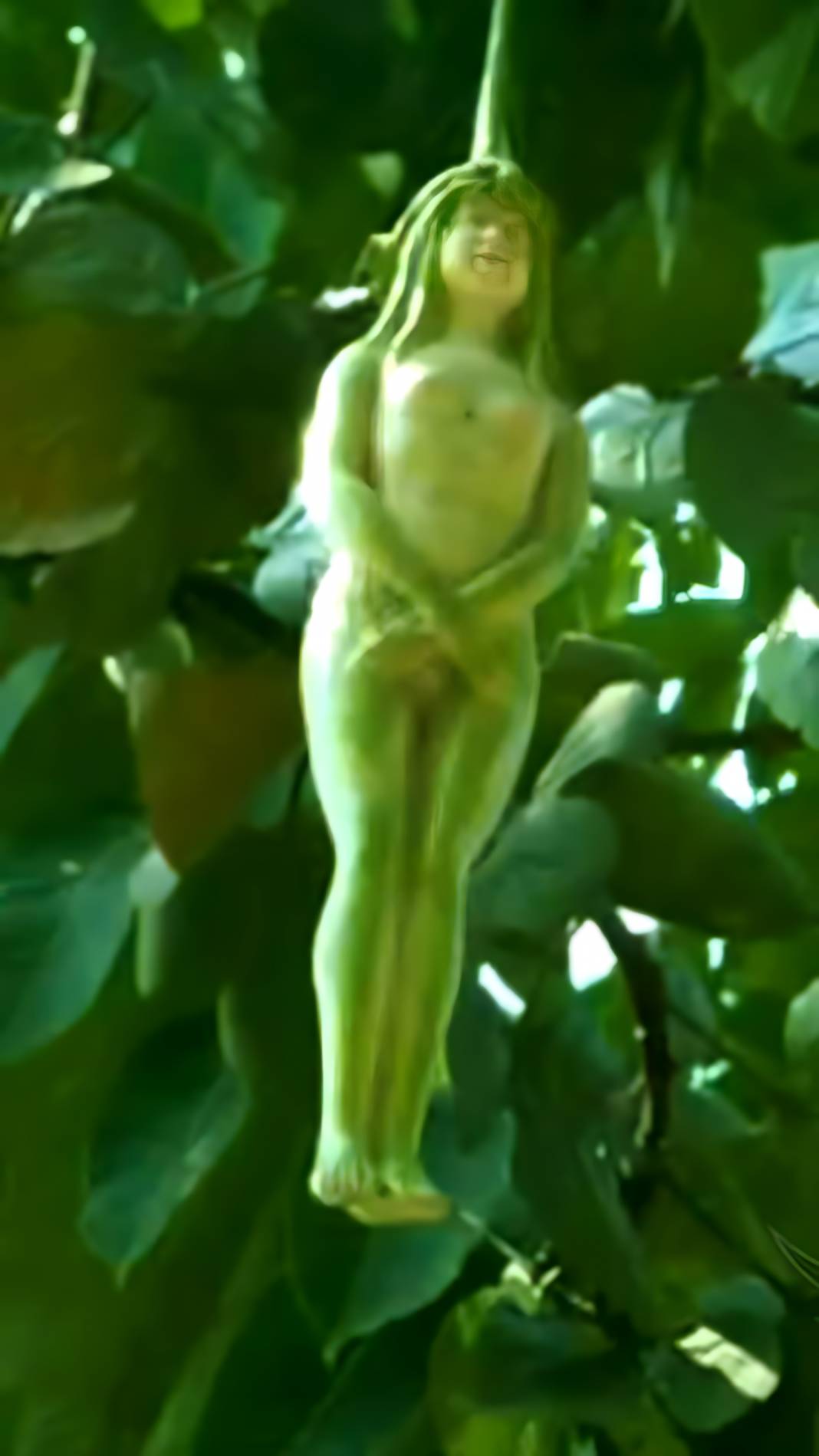 Gizemli Nareepol Ağacı: Meyvesi Kadın Bedenine Benziyor! 2